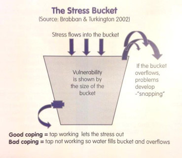 STRESS BUCKET
