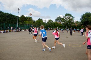 Img 1309